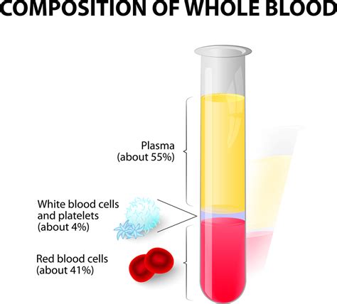 Pain Relief Procedures: Blood spinning vs Wet cupping