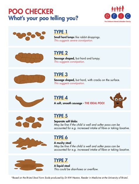 Printable Bristol Stool Chart Pdf | Porn Sex Picture