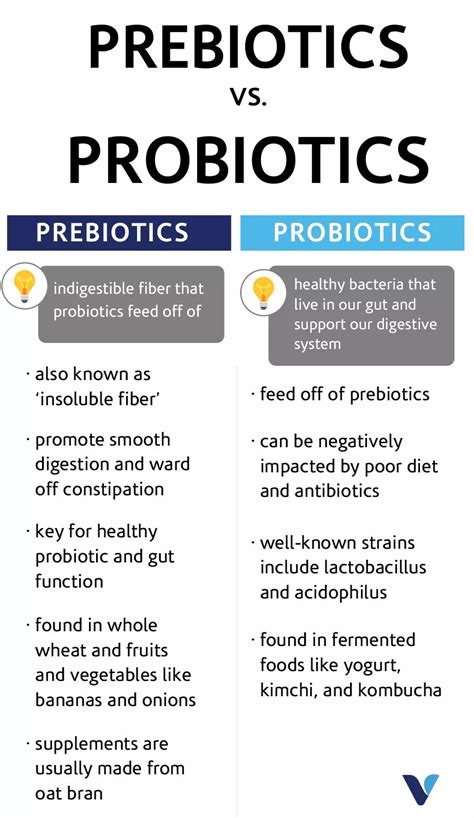 You’ve Heard Of Probiotics—But What Are Prebiotics? | What's Good by V