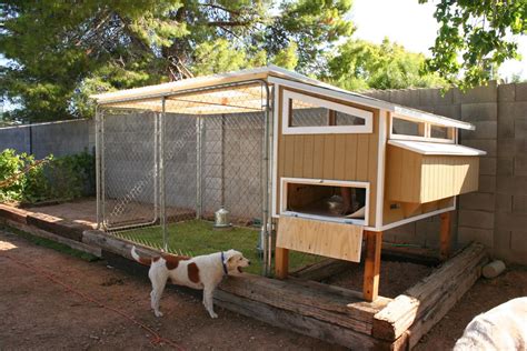 Cabane A Poule Fait Maison - 8 X 8 Chicken Coop Interior Diy Chicken Coop Chickens Backyard ...