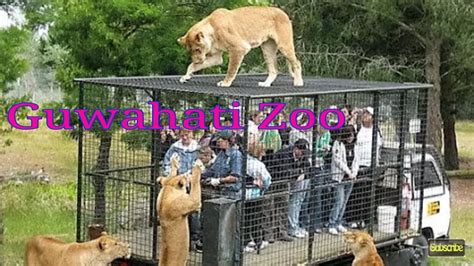 GUWAHATI ZOO - The Assam State Zoo cum Botanical Garden/ #North East tourism #TravellersHub ...