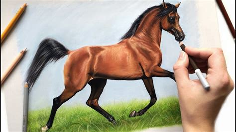 Arabian Horse Drawing. Colored Pencil Art & Collectibles hedoarchitects.pl