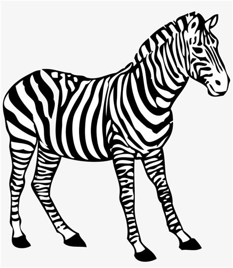 Zebra Clipart Black And White – Telegraph