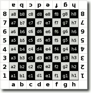 Chess Board Details (Positions, Coordinates) ~ Chess Tips & Tricks