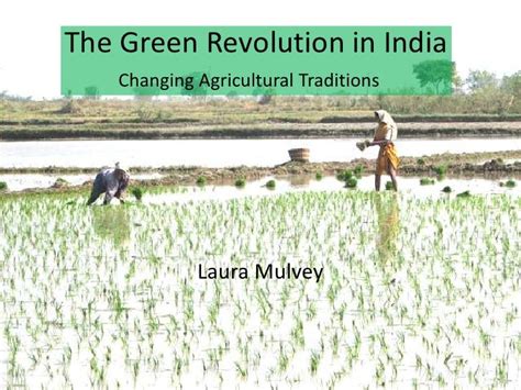 The Green Revolution In India