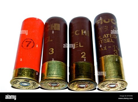 12 gauge shotgun shells migratory duck hunting ammunition variety sizes ...