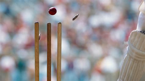 Cricket Wicket – Bing Wallpaper Download