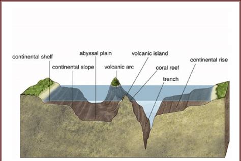 Schematic diagram shows continental shelf, slope, trench and ...