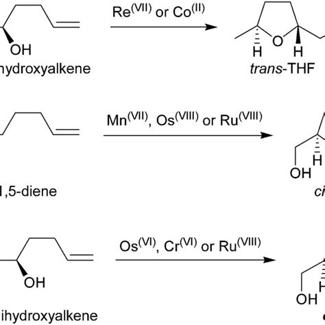 Synthesis of 2,5-disubstituted THF rings by metal-oxopromoted cyclisations. | Download ...