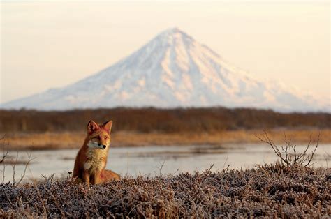 15 incredible PHOTOS of Kamchatka - Russia Beyond