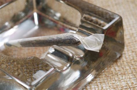 Cannabis And Tobacco Joint Photograph by Lea Paterson/science Photo Library