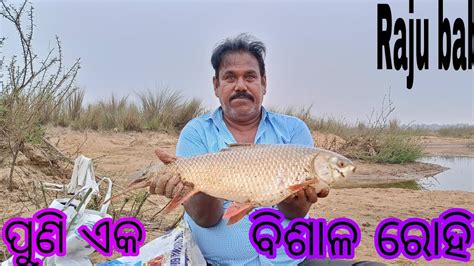 #Catch_a_big_fish #Big_Rohu #river_fishing #chandikhol - YouTube