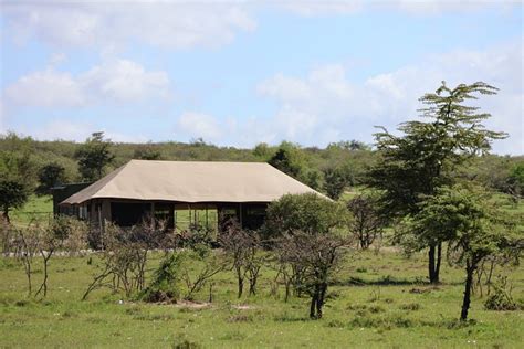 MTITO SAFARI CAMP - Resort Reviews (Sekenani, Kenya)