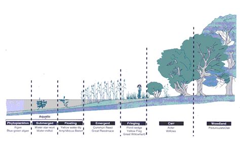 Succession - Biogeography: Ecosystems on all scales