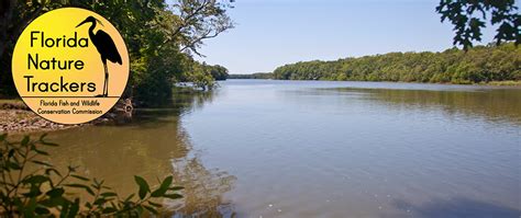 Florida WMA: Apalachicola River Wildlife and Environmental Area · iNaturalist