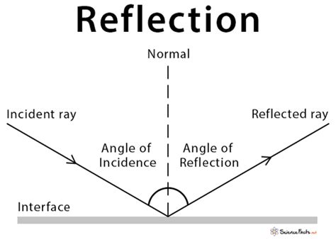 Two Types Of Reflection