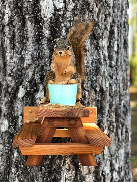 Pin on Squirrel Picnic Table