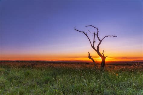 Sunset,horizon,cloud landscape,sky sun,landscape - free image from ...