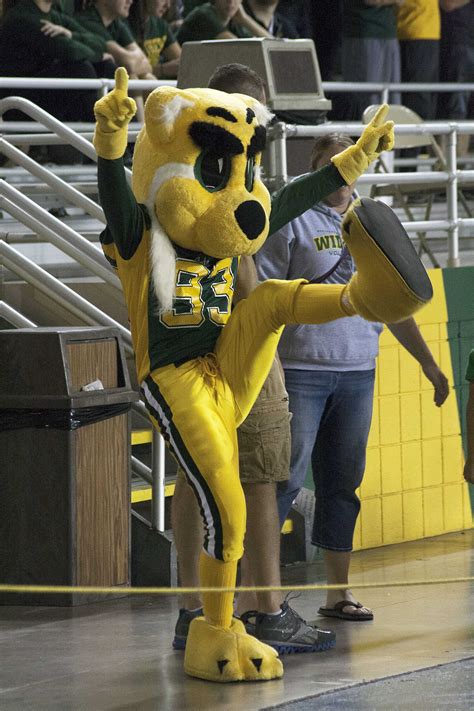 Wildcat Willy: A Furry History in Green and Gold | The North Wind