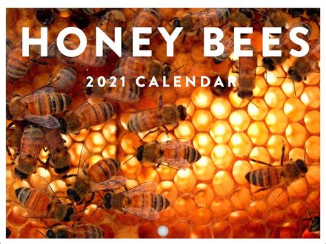 Buy Honey Bee 2023 Monthly Wall Hanging s Honeybee Flower Beekeeping ...