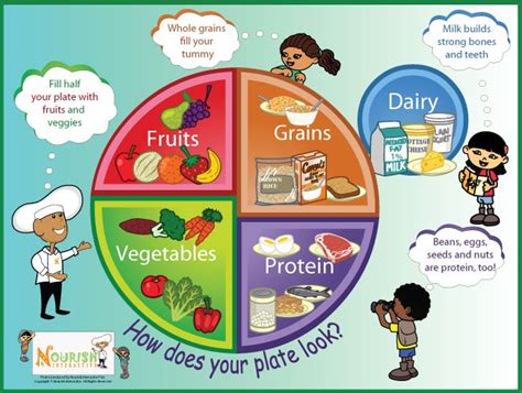 My Plate - Five Food Groups Poster