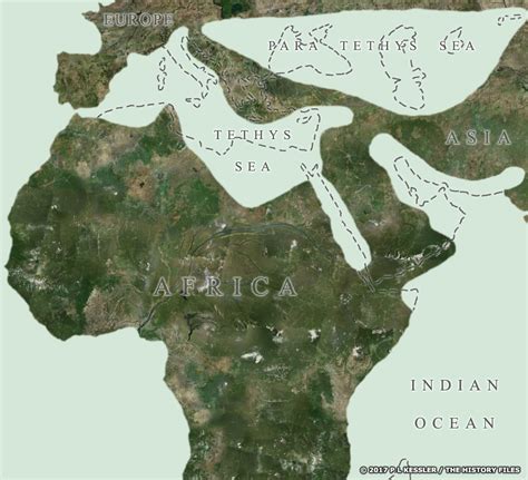 Middle Miocene Coastline