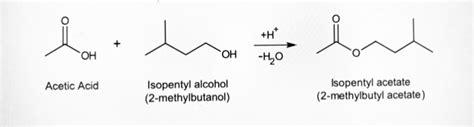 Isopentyl Alcohol And Acetic Acid