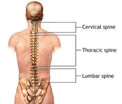 Post-Laminectomy Syndrome Treatment in NJ | Pain Management Doctor