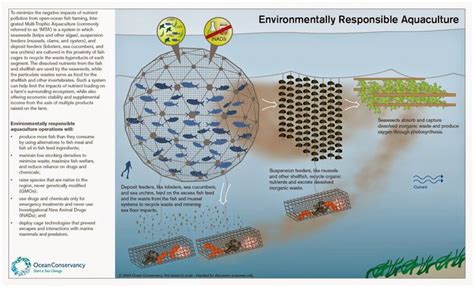 Pin by Ivy Ho on Marine aquaculture | Aquaculture aquaponics, Aquaculture, Fish farming