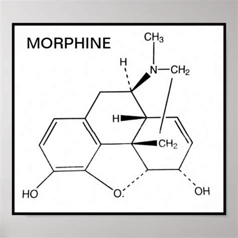 MORPHINE CHEMICAL STRUCTURE POSTER | Zazzle