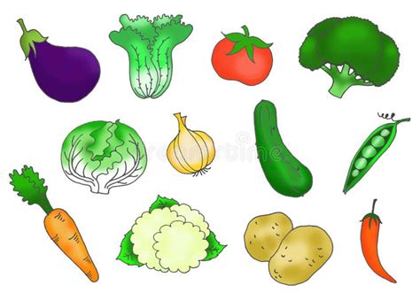 Vector Collection Hand Draw of Vegetables Stock Illustration - Illustration of onion, white ...