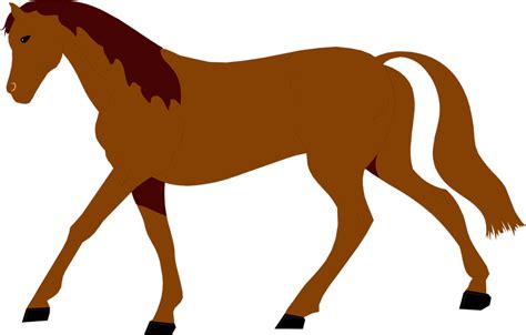 Clipart borders horse, Clipart borders horse Transparent FREE for download on WebStockReview 2024