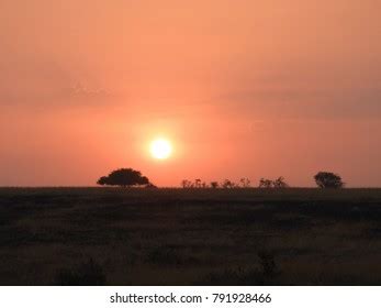 African Sunrise Safari Uganda Stock Photo 791928466 | Shutterstock