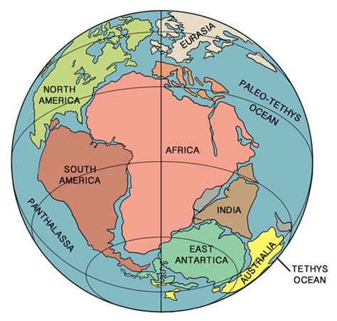 Evidence to Prove That Pangaea had Existed/ Evidence of Continental Drift · Pangaea