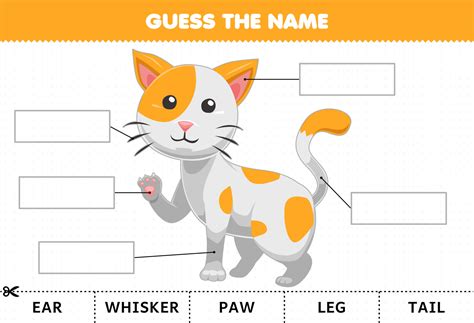 Education game for children guess the name of cute cartoon cat body ...