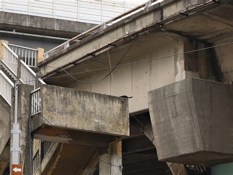 Leaping Cat Bridge: A Black Feline Braves the Heights in Taiwan - Isidor's Fugue