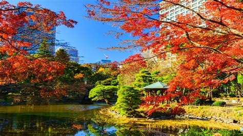 Japan Fall Foliage Private Tour - Kipling & Clark