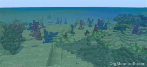 Minecraft Warm Ocean Seeds for Bedrock Edition