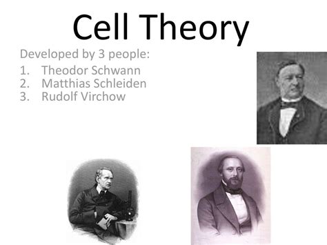 Theodor Schwann Cell Theory