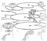 Pond Drawing At GetDrawings  Free Download sketch template