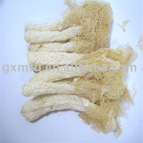 Dried Bamboo Fungus products,China Dried Bamboo Fungus supplier