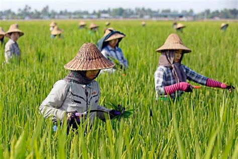 Myanmar’s farmers go hi-tech | The ASEAN Post