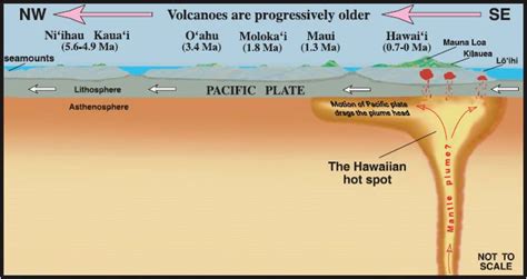 Hawaiian Hot Spot diagram | Plate tectonics, Volcano, Hot spot