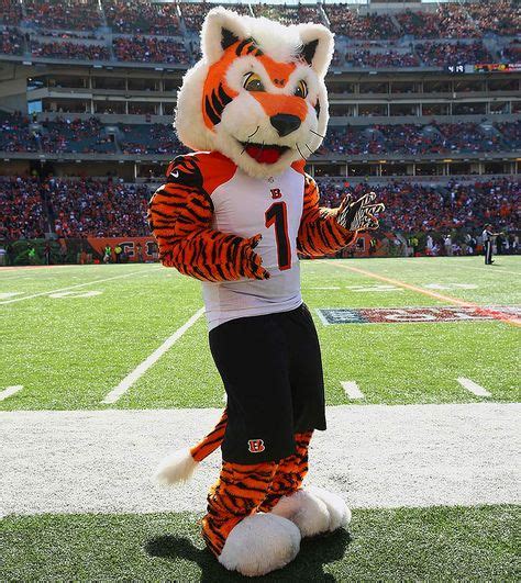 Resultado de imagen de mascot Who Dey — Cincinnati Bengals | Liga de futbol, Nfl, Mascotas