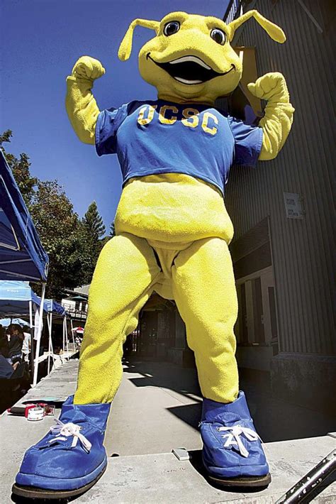 The banana slug celebrates 25 years as UC Santa Cruz mascot – The ...