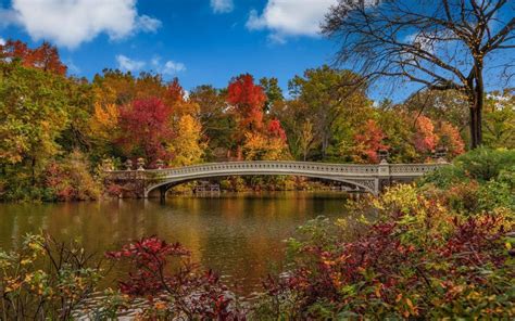 Five Best Most ScenicSpots to see Fall Foliage in Central Park