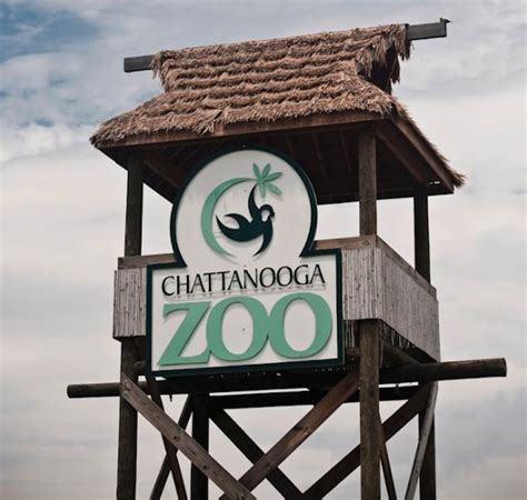 The Chattanooga Zoo In Tennessee Is A Delightfully Fun Day Trip