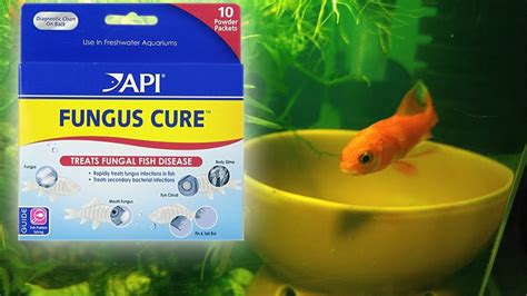 API Fungus Freshwater Fish Powder Medication, 10-Count, 46% OFF