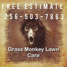 Grass Monkey Lawn Care. Lawn Care & Mowing Service - New Hope, AL. Projects, photos, reviews and ...