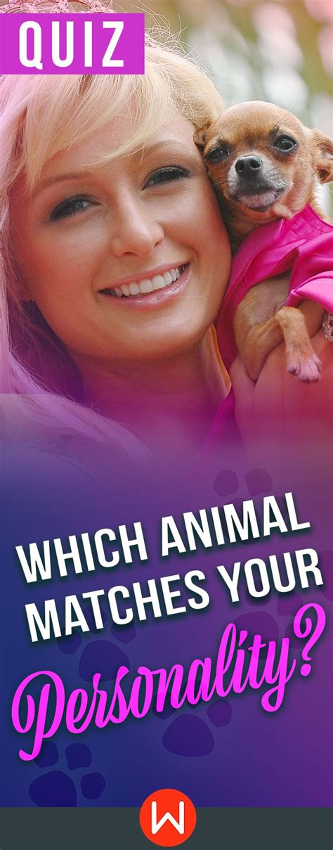 Which Animal Matches Your Personality? | Fun personality quizzes, Fun ...